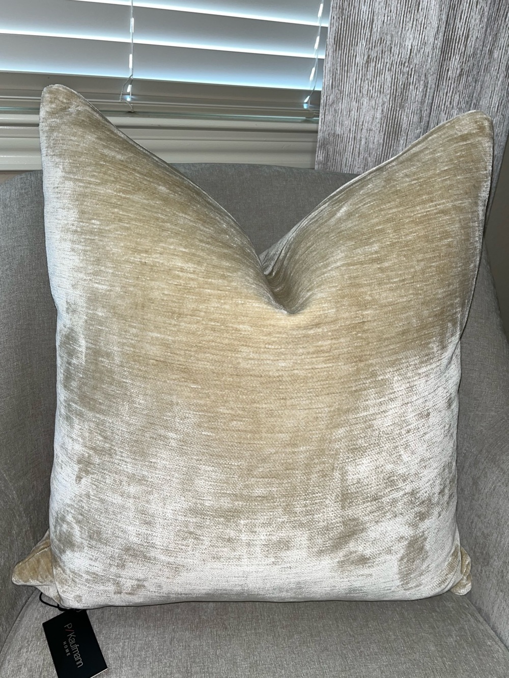 1-NWT P/Kaufmann luxe
Champagne velvet luxury decorative pillow